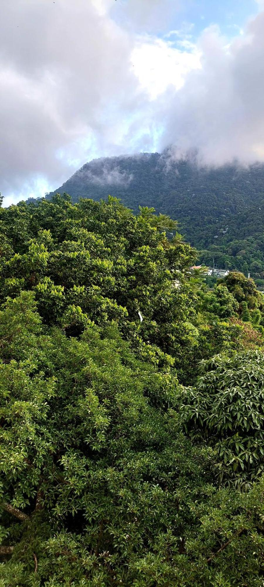 Apartamento Vista Espetacular Do Cristo Redentor Apto 5 Pessoas